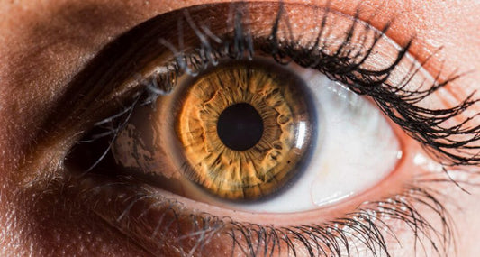 The Alluring and Mysterious World of Hazel Eyes:
